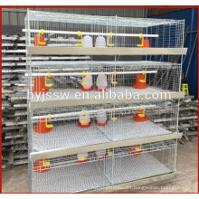 Big discount chick layer cage,chick breeding cage,baby chick cage pictures